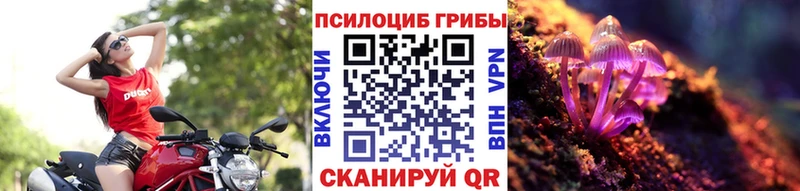 Галлюциногенные грибы мицелий  Малоярославец 